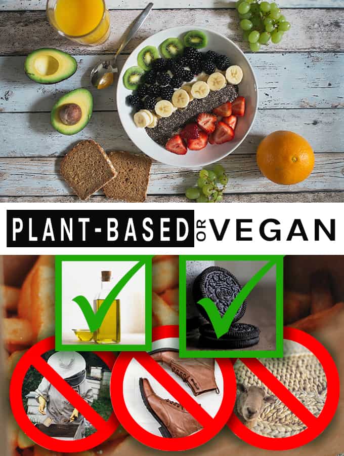 PlantBased or Vegan