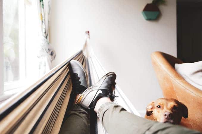 Dog and feet in hammock.