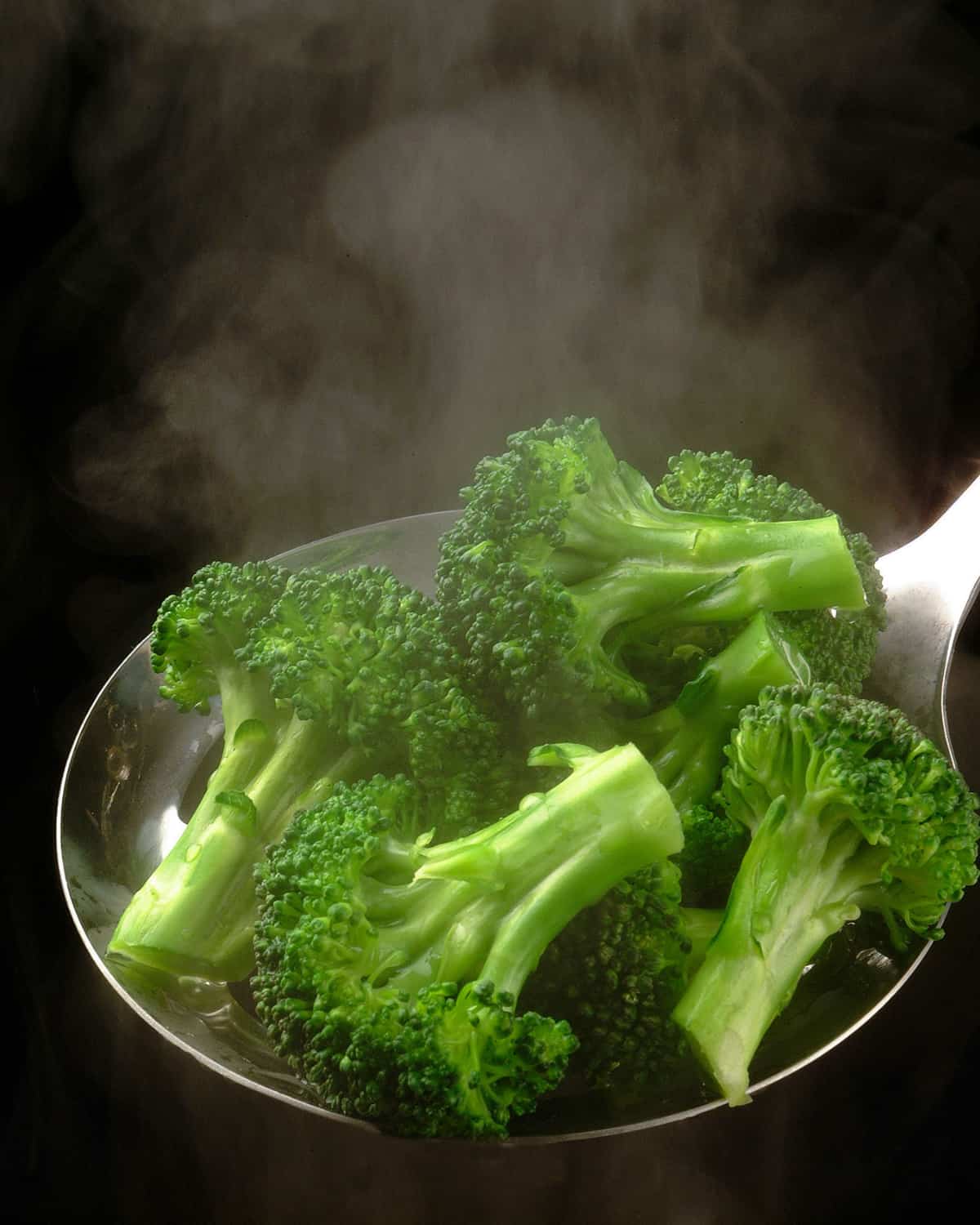 steamed broccoli on spoon